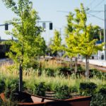 Portland-Milwaukie Light Rail Transit Project - East Segment