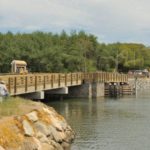 Replacement of Historic Mitchell River Wooden Drawbridge